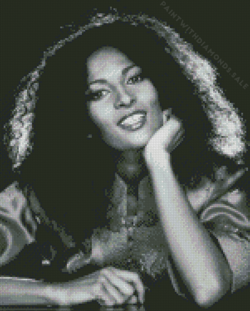 Pam Grier Diamond Painting