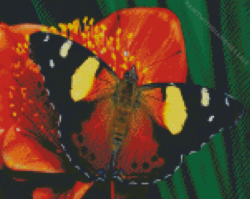 Red Admiral Butterfly Diamond Painting