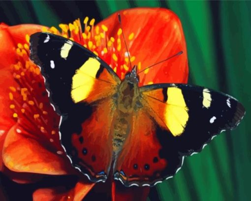 Red Admiral Butterfly Diamond Painting