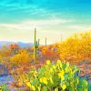 Saguaro National Park Adult Diamond Painting