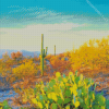 Saguaro National Park Adult Diamond Painting