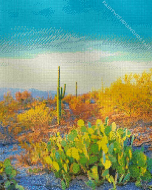 Saguaro National Park Adult Diamond Painting