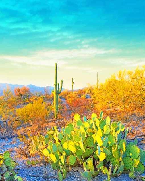 Saguaro National Park Adult Diamond Painting