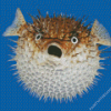 Shcoked Pufferfish Diamond Painting