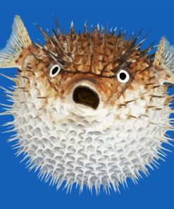 Shcoked Pufferfish Diamond Painting