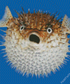 Shcoked Pufferfish Diamond Painting