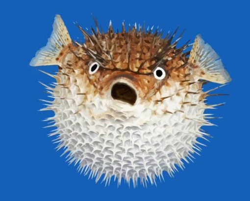 Shcoked Pufferfish Diamond Painting