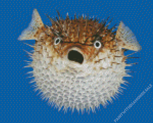 Shcoked Pufferfish Diamond Painting