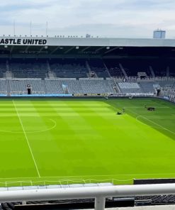 St James Park Diamond Painting