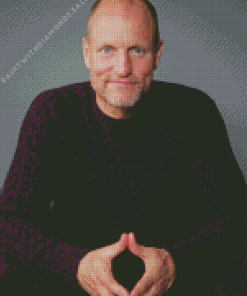 The Actor Woody Harrelson Diamond Painting