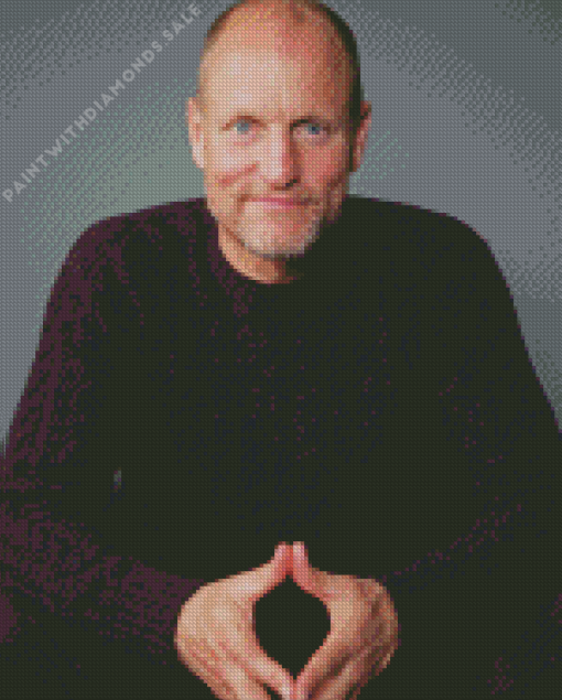 The Actor Woody Harrelson Diamond Painting