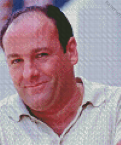 Tony Soprano Diamond Painting