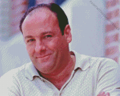 Tony Soprano Diamond Painting