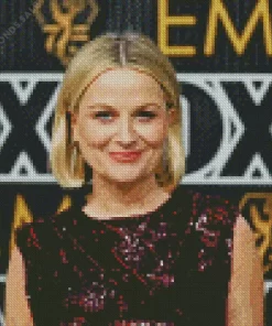 Amy Poehler Diamond Painting