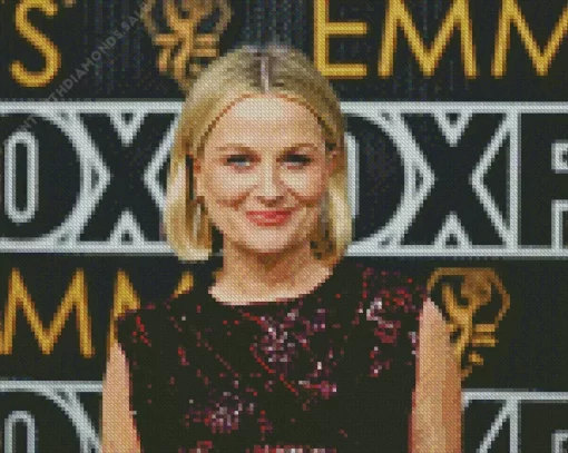 Amy Poehler Diamond Painting