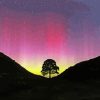 Aurora Sycamore Gap Tree Diamond Painting