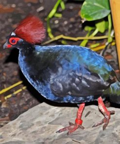 Crested Partridge Diamond Painting