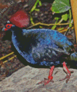 Crested Partridge Diamond Painting