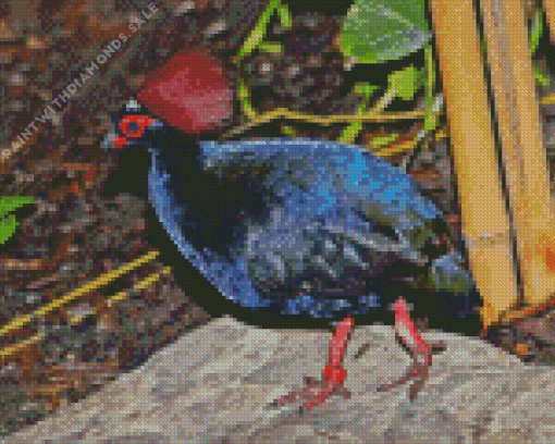 Crested Partridge Diamond Painting