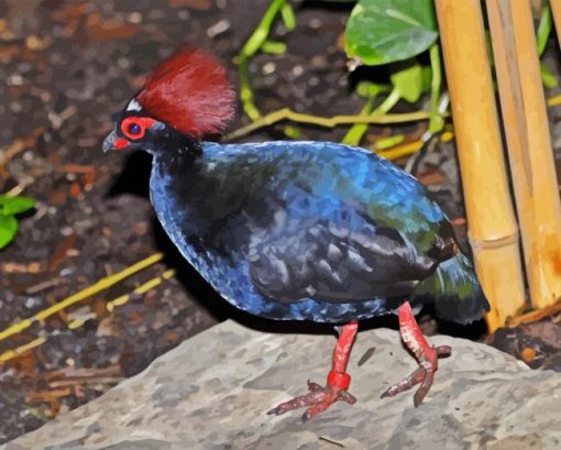 Crested Partridge Diamond Painting