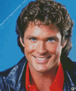 David Micheal Hasselhoff Diamond Painting