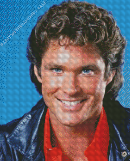 David Micheal Hasselhoff Diamond Painting