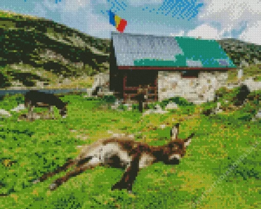 Donkeys In Retezat National Park Diamond Painting