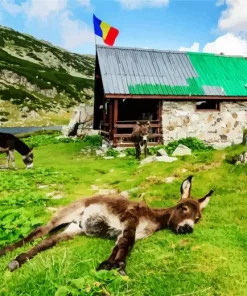 Donkeys In Retezat National Park Diamond Painting