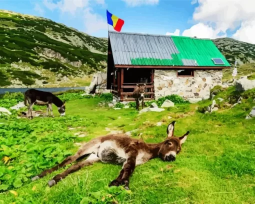 Donkeys In Retezat National Park Diamond Painting