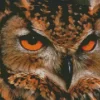 Eagle Owl Diamond Painting