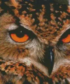 Eagle Owl Diamond Painting