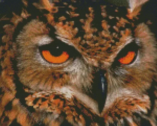 Eagle Owl Diamond Painting