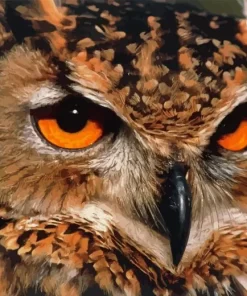 Eagle Owl Diamond Painting