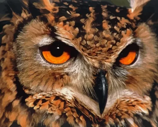 Eagle Owl Diamond Painting