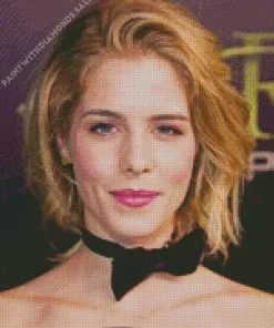 Emily Bett Rickards Diamond Painting