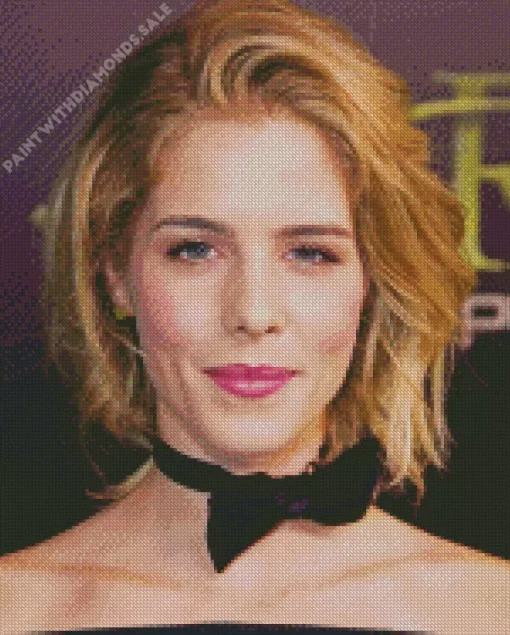 Emily Bett Rickards Diamond Painting