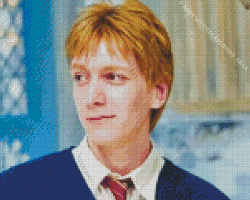 Fred Weasley Diamond Painting