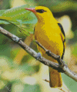 Golden Oriole Diamond Painting