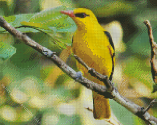 Golden Oriole Diamond Painting