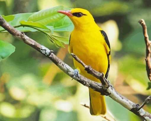 Golden Oriole Diamond Painting