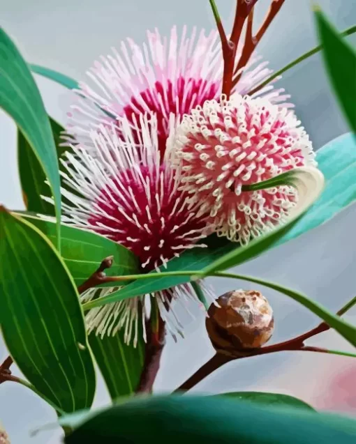 Hakea Plant Art Diamond Painting