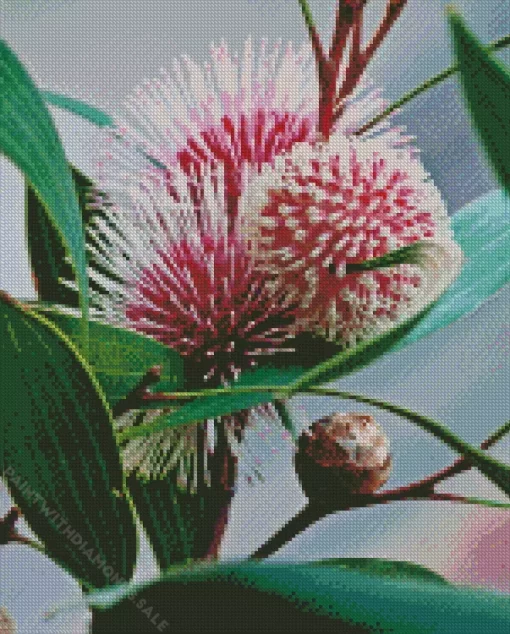 Hakea Plant Art Diamond Painting