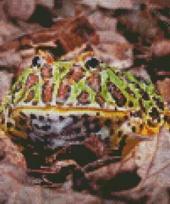 Horned Frog Diamond Painting