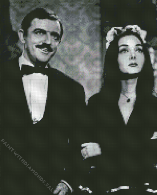 John Astin Diamond Painting