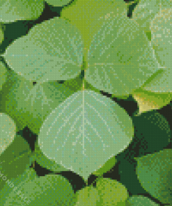 Kudzu Diamond Painting