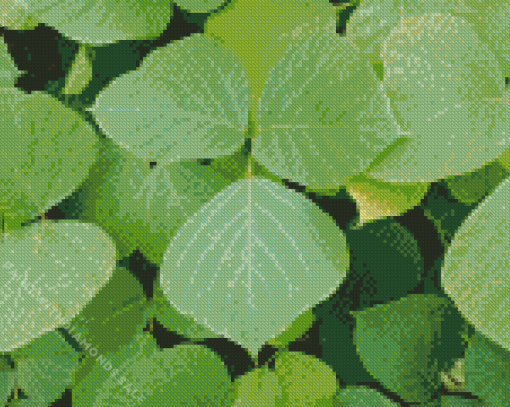 Kudzu Diamond Painting