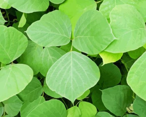 Kudzu Diamond Painting