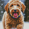 Labradoodle Puppy In Snow Diamond Painting