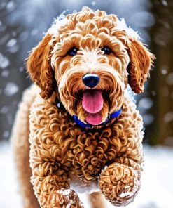 Labradoodle Puppy In Snow Diamond Painting