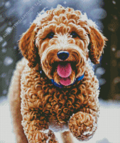 Labradoodle Puppy In Snow Diamond Painting